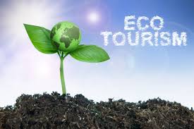 Eco-Tourism and Sustainable Travel